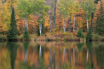 Alternate Deminsions